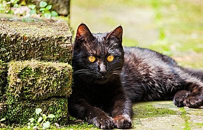 暴雪：守望玩家自动开箱后数据继承至《守望先锋：归来》